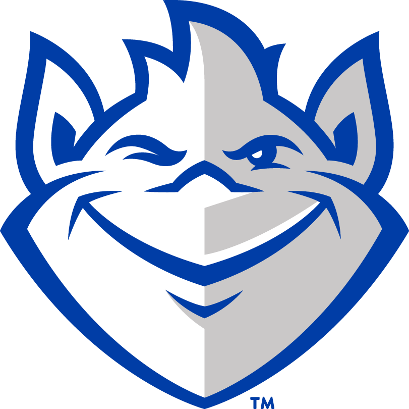 Saint Louis Billikens 2015-Pres Primary Logo t shirts iron on transfers